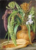 Study of Cereals, Cultivated in Kumaon, India