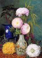 Study of Japanese Chrysanthemums and Dwarfed Pine