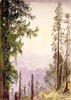 Sunrise among the Pines near Fagoo in the Himalayas