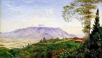 Tea Gathering in Mr Hölle's Plantation at Garoet, Java