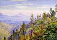 The Ardjuno Volcano from Tosari, Java