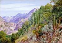 The Baths of Cauquenas in the Cordilleras, South of Santiago, Chili