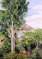 The Garden of King's House, Spanish Town, Jamaica
