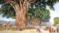 The Great Square of Malang, Java