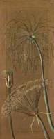 The Papyrus