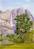 The Yosemite Waterfall, California