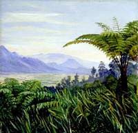 Tree Fern in the Preanger Mountains, Java