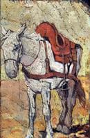 Study of a Horse