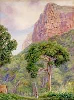 Undercliff and Its Two Fairies with Raintree, St John's