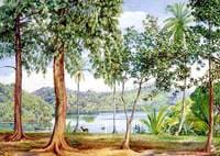 View from Kalutara, Ceylon