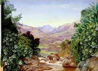 View from the Top of the Waterfall at Ramboddy, Ceylon