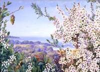 View near Brighton, Victoria
