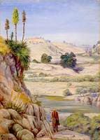 View near Quilpue, Chili