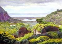 View near Tijuca, Brazil, Granite Boulders in the Foreground