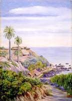 View of Concon, Chili, with Its Two Palms