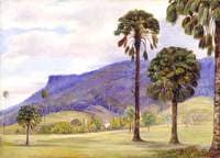 View of Illawarra, New South Wales