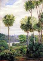 View of Melbourne from the Botanic Gardens