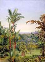 View of Singapore from Dr Little's Garden