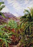 View of the Peak from the Bridge of Icod, Teneriffe