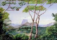 View of the Sugarloaf Mountain from the Aqueduct Road, Rio Janeiro