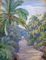 Views from the Bridge at Buitenzorg (Bogor), Java