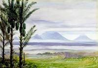 Volcanoes from Temangong with Sugar Palms in the Foreground, Java
