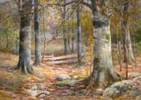 Autumn Beeches