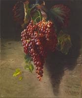 Grapes