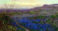 Blue Bonnets at Twilight