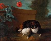 Cat with a Kitten