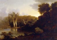 Southern Swamp