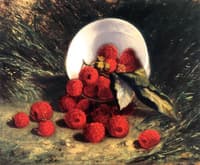 Raspberries