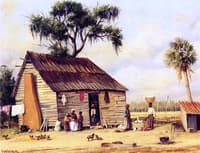 Life in the South
