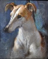 A Dog