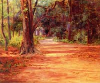 A Wooded Lane