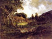 A Clearing in the Forest