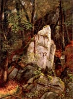 Rocks in Pearson's Ravine
