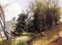 View from the Woodlands