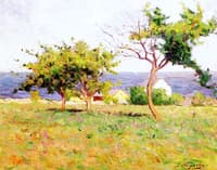 A Sunny Day