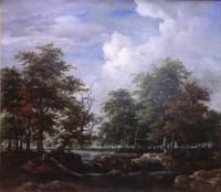 Wooded Landscape