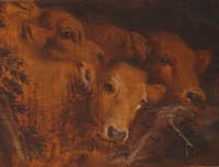 Study for the Heads of Cattle