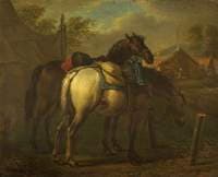Two Pack Horses