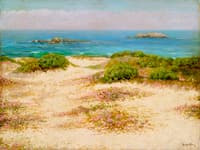 Monterey Coast: 17 Mile Drive