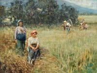 Work in the Fields