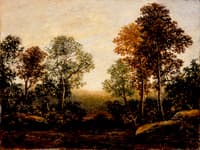 Landscape with Trees
