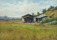 Shacks