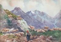 Mountain Pasture