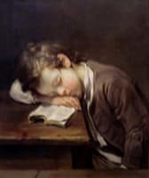 Le petit paresseux