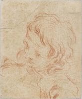 Head of a Young Man