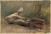 Study of a Dead Tree